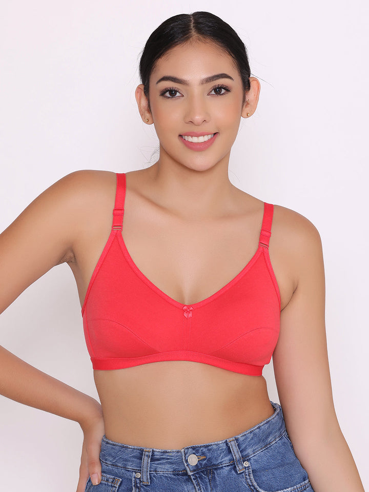 Women's Non Padded Non-Wired Regular Bra-Paris Combo of 2