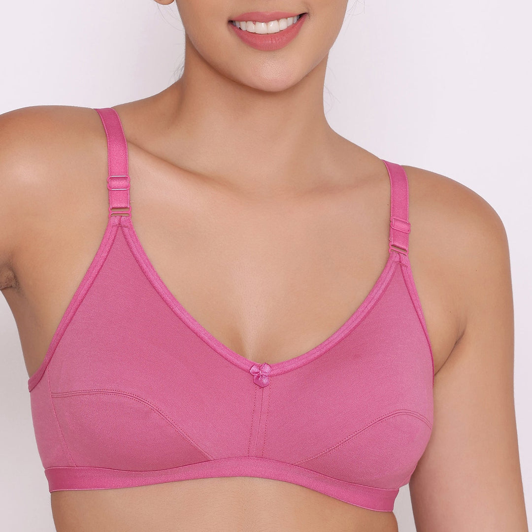 Women's Non Padded Non-Wired Regular Bra-Paris Combo of 2