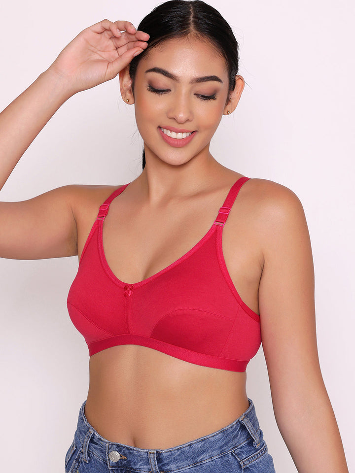 Women's Non Padded Non-Wired Regular Bra-Paris Combo of 2