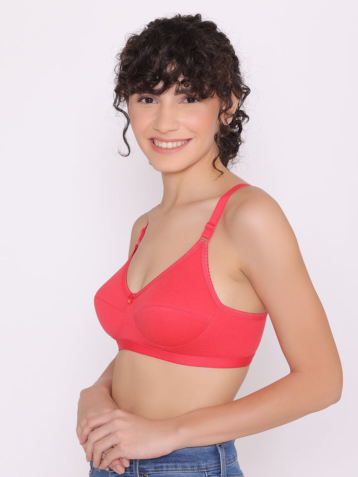 Women's Non Padded Full Coverage Full Net Bra (Pack of 2)-Erin