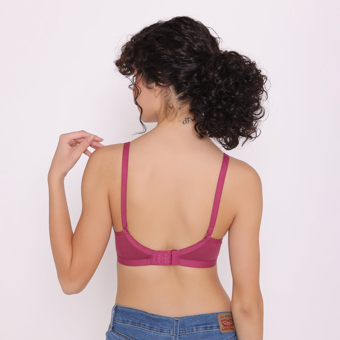 Women's Non Padded Non-Wired Regular Bra-VEGAS COMBO OF 2