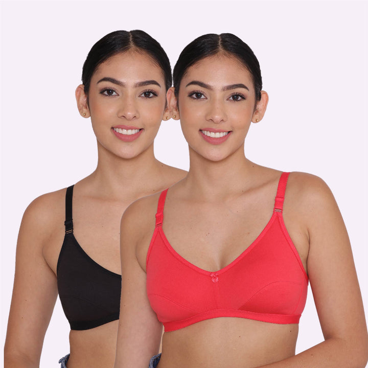 Women's Non Padded Non-Wired Regular Bra-Paris Combo of 2