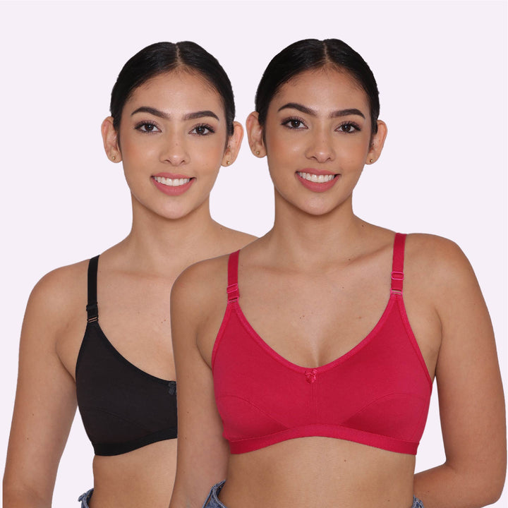 Women's Non Padded Non-Wired Regular Bra-Paris Combo of 2
