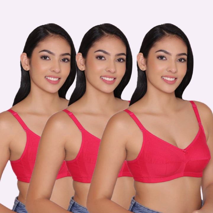 Women's Non Padded Non Wired Full Coverage Bra with No Spillage (Pack of 3)-ELSA