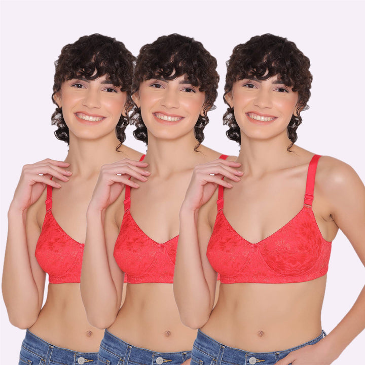 Women's Non Padded Full Coverage Full Net Bra (Pack of 3)-Erin