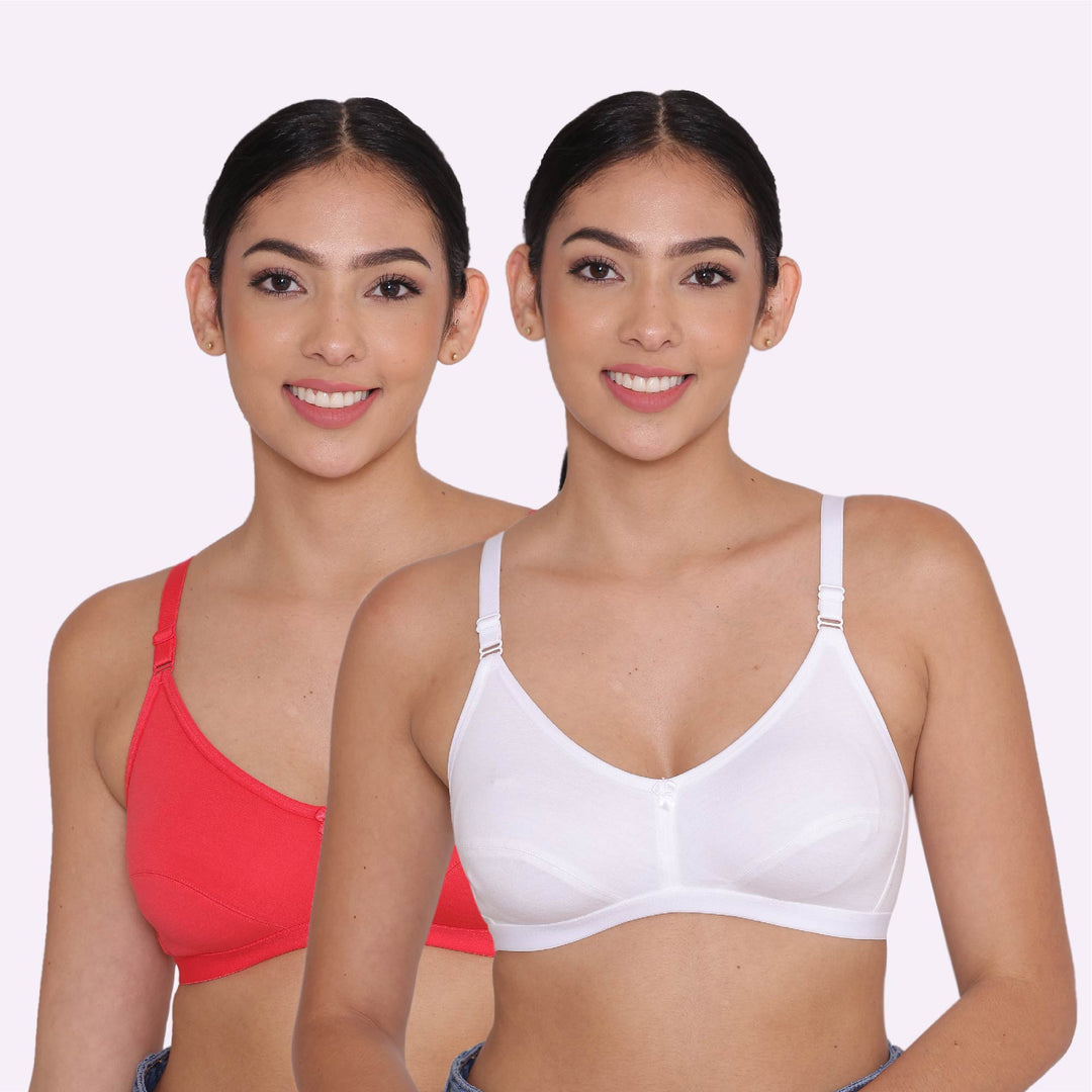 Women's Non Padded Non-Wired Regular Bra-Paris Combo of 2