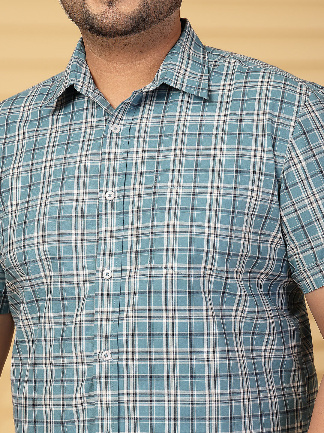 Plus Size Men Opaque Checked Casual Shirt