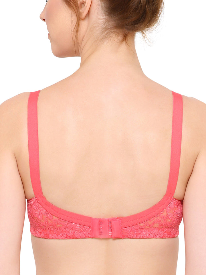Women's Non Padded Full Coverage Full Net Bra (Pack of 3)-Erin