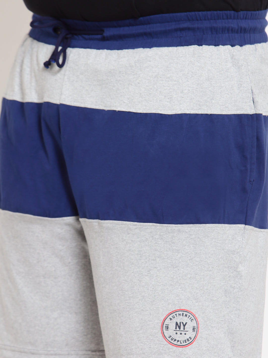 Plus Size Men Grey Colourblocked Regular Fit Regular Shorts