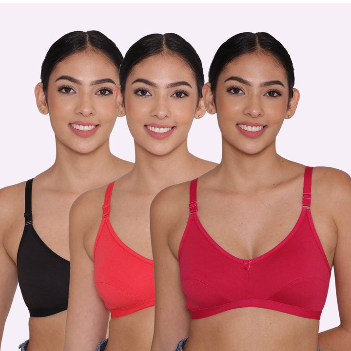Women's Non Padded Non-Wired Regular Bra-PARIS Combo of 3