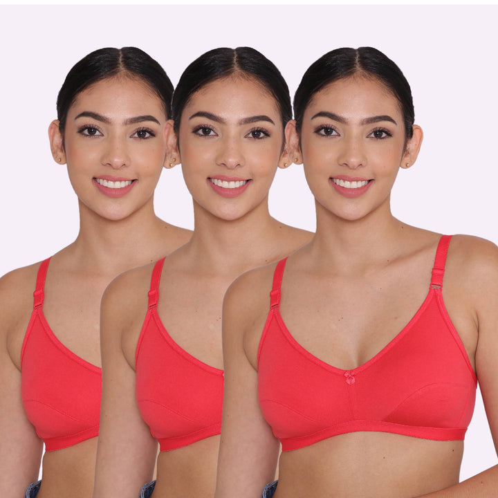 Women's Non Padded Non-Wired Regular Bra-PARIS Combo of 3