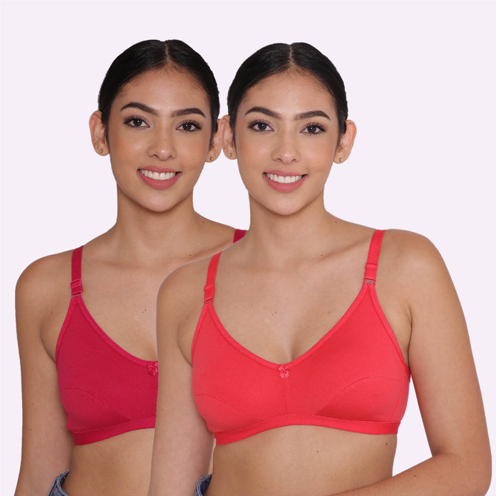 Women's Non Padded Non-Wired Regular Bra-Paris Combo of 2