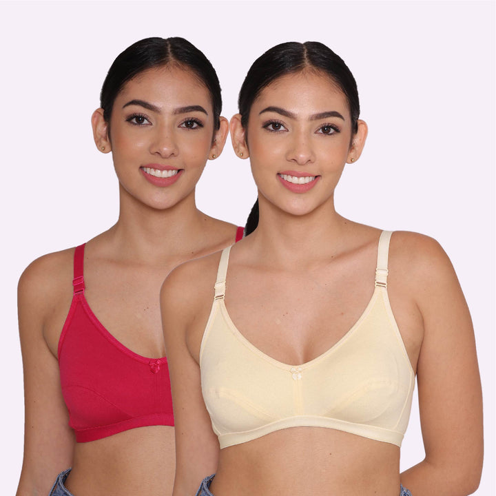 Women's Non Padded Non-Wired Regular Bra-Paris Combo of 2