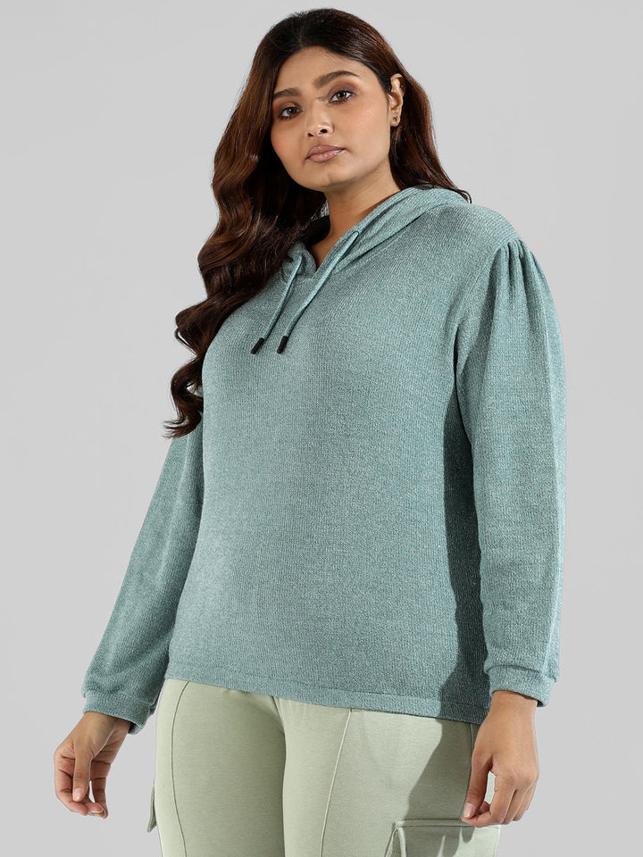 Solid Stylish Hooded Sweatshirts