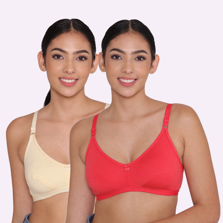 Women's Non Padded Non-Wired Regular Bra-Paris Combo of 2