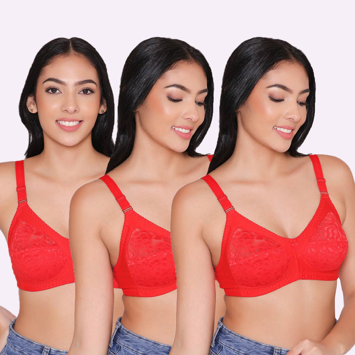 Women's Non Padded Full Coverage Net Bra (Pack of 3)-Thea